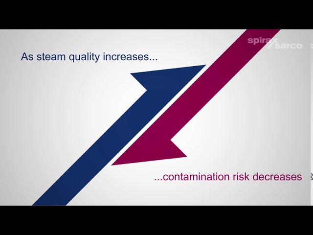 Use of steam in food and beverage processes