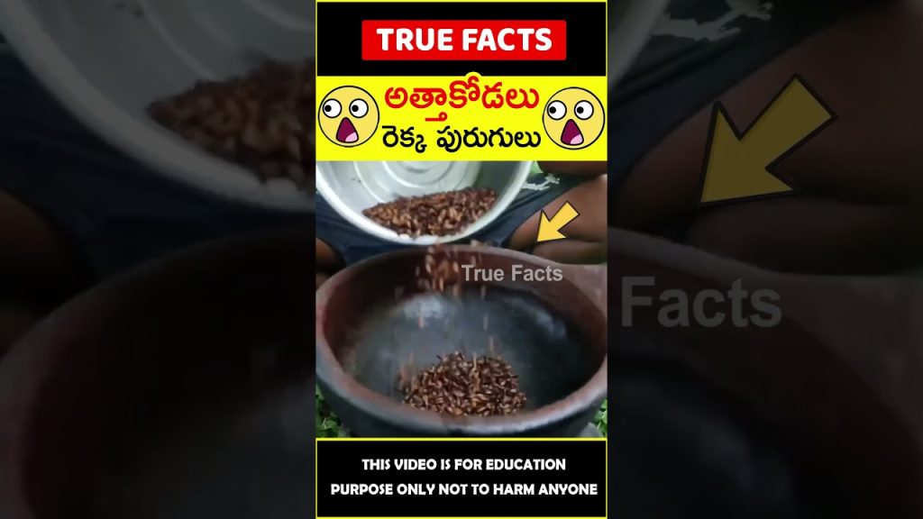 Unique villager food recipe #factsintelugu 😲రెక్క పురుగులు😲 #amazingfacts #truefacts #shorts