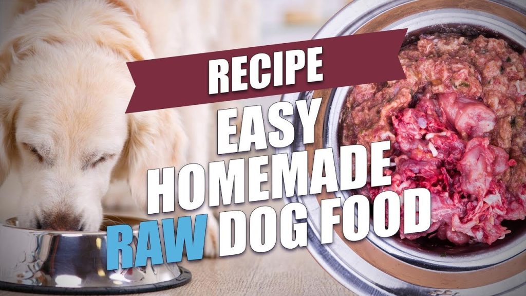 Easy Homemade Raw Dog Food Recipe (Fast and Healthy)