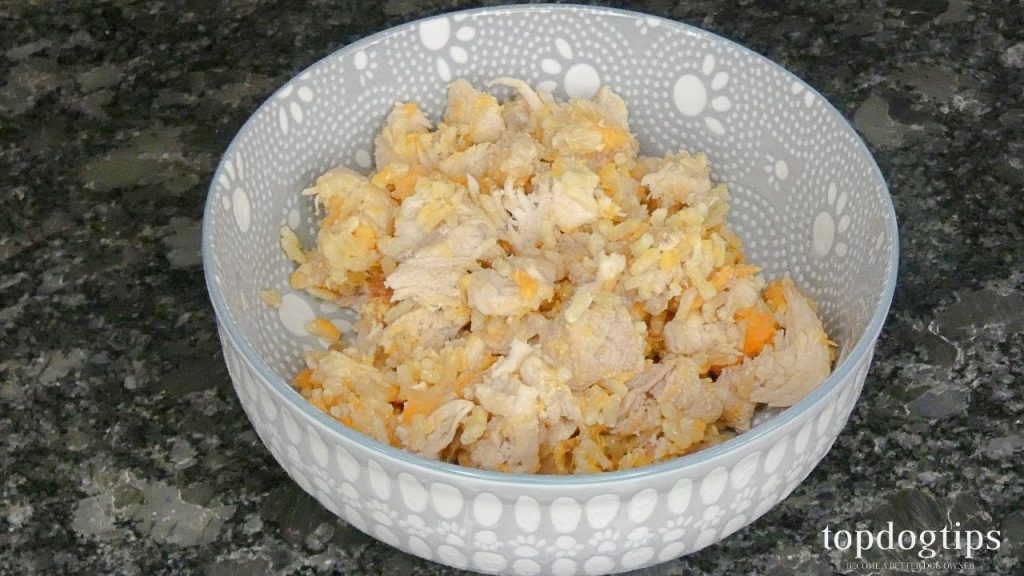 Simple Homemade Cat Food Recipe