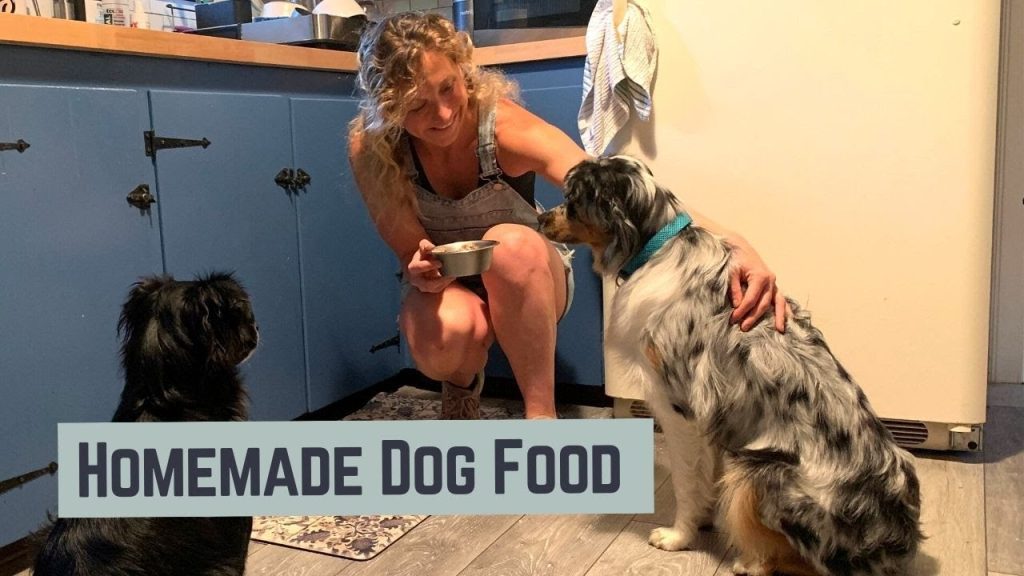 Homemade Dog Food Recipe With Venison