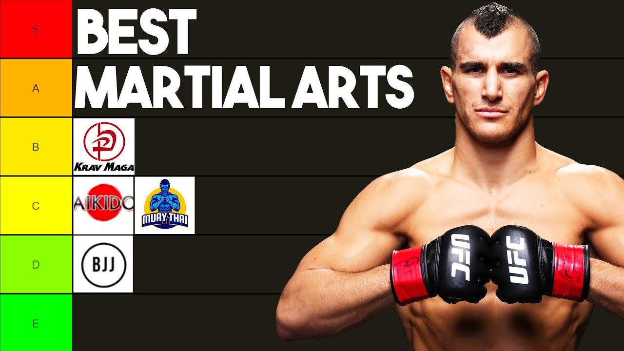 UFC Fighter Ranks The Best Martial Arts