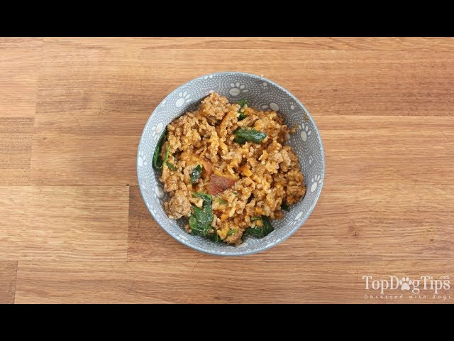 Cheap Homemade Dog Food Recipe
