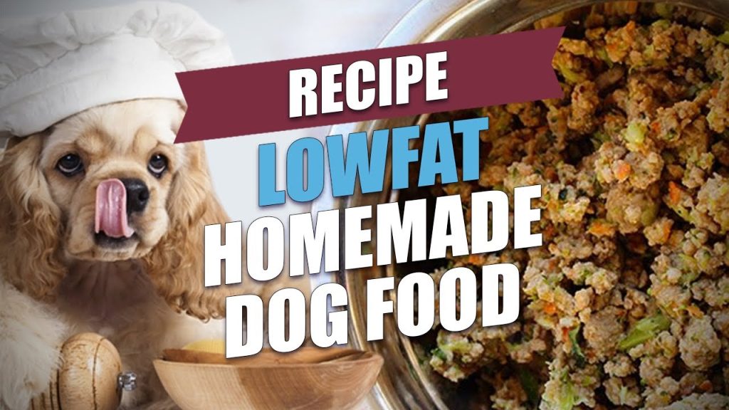 Lowfat Homemade Dog Food Recipe