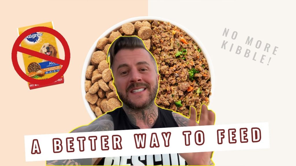 HOMEMADE DOG FOOD RECIPE + STEP BY STEP WALKTHROUGH BY TYE FRIIS