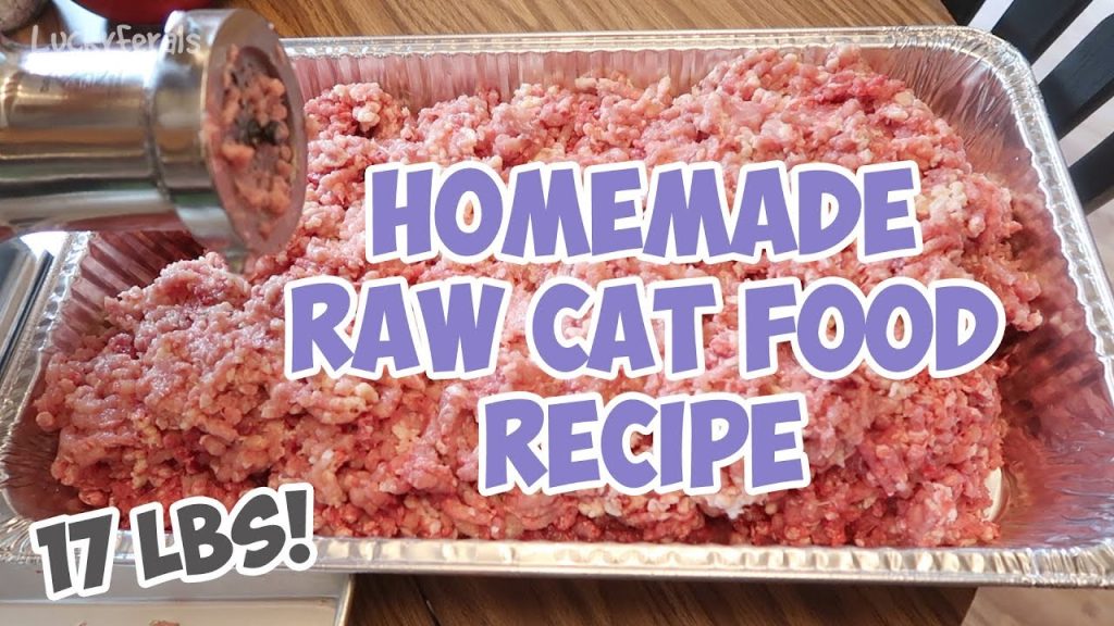 Homemade Raw Cat Food Recipe – Bulk Batch – That I’ve Been Feeding The Cats