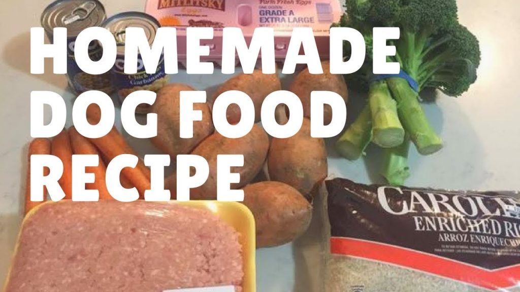 Homemade Dog Food Recipe