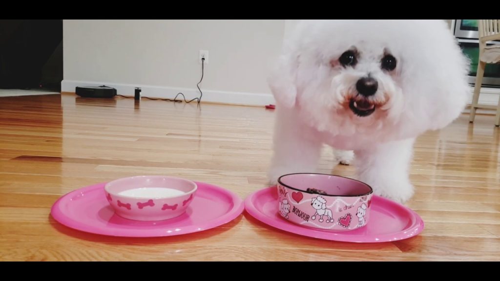 Bella Bichon’s Chicken Hearts & Livers | Homemade dog’s food recipe
