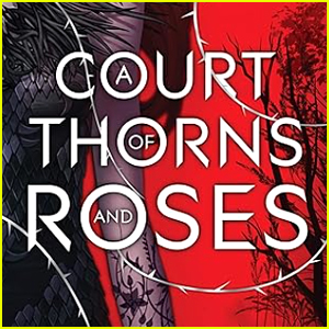 ‘A Court of Thorns & Roses’ Series No Longer in Active Development at Hulu