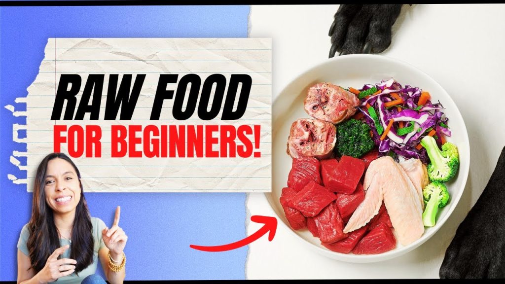 5 Common Mistakes to Avoid! π Easy Raw Dog Food Recipe πΆ