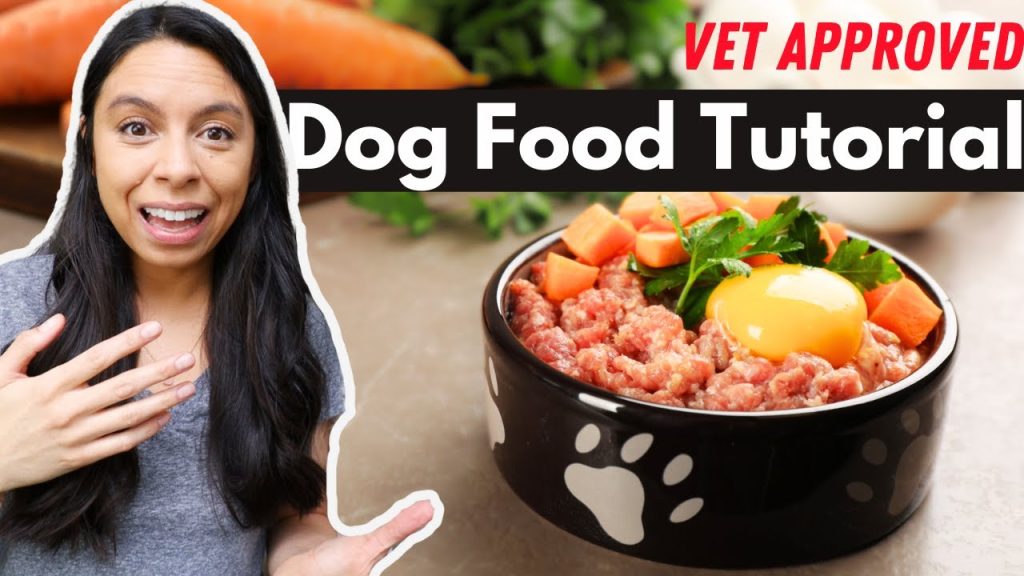 The EASY Dog Food Recipe Tool 🐶 Vet approved & balanced recipes