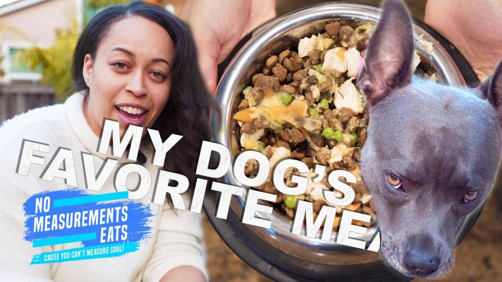 MY HOMEMADE & HEALTHY DOG FOOD RECIPE | COOKING FOR MY PITBULL🐶