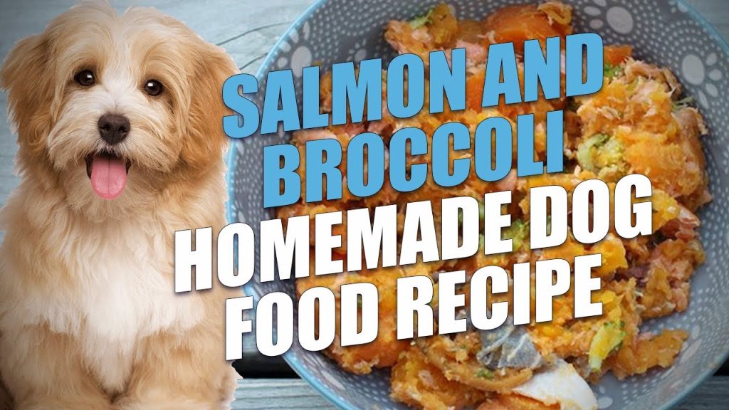 Salmon and Broccoli Homemade Dog Food Recipe