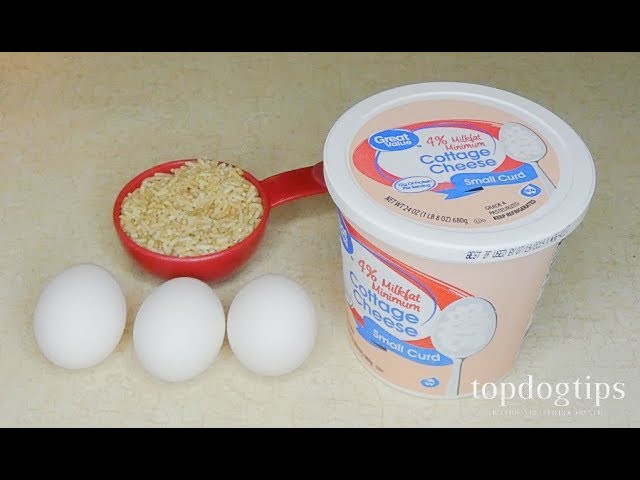 Home Cooked Dog Food Recipe for Sick Dog to Recover Quicker