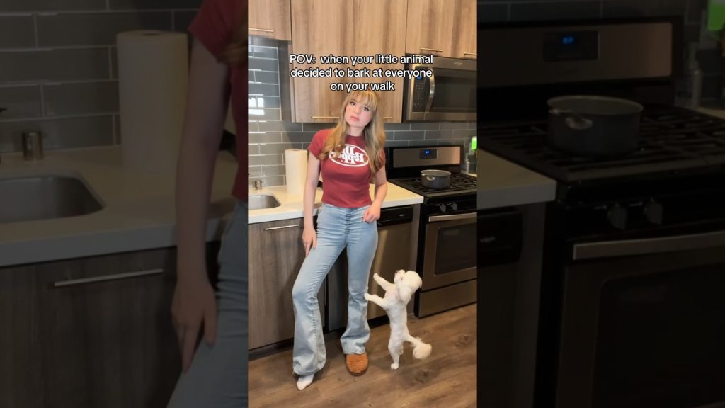 Can’t believe she did that 😭#funny #doglover #meme #brianna #puppy #shortsfeed