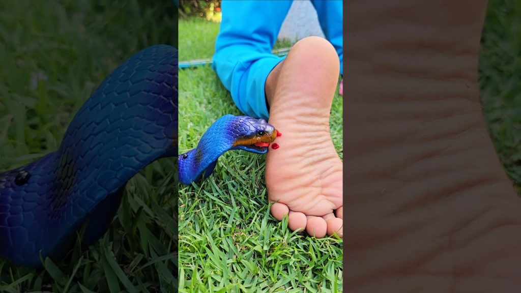 Ataack da Naja Azul 😱😰💀🐍 #funny  #comedy