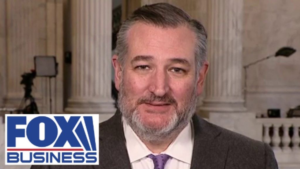 Ted Cruz says it is ‘breathtaking’ what DOGE is uncovering