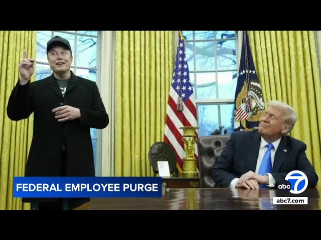 Federal technology staffers resign rather than help Musk and DOGE