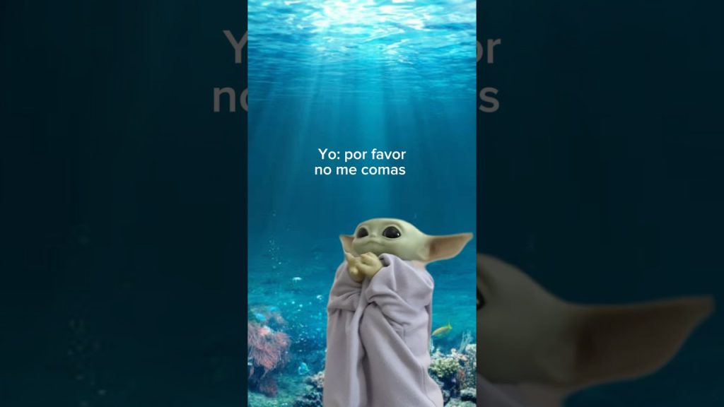 La familia es lo primero 🦈 #humor #familia #toretto #meme
