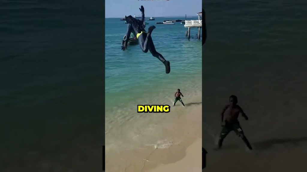 He Invented A Crazy Diving Sport (@a.l.a.d.d.i.n_)