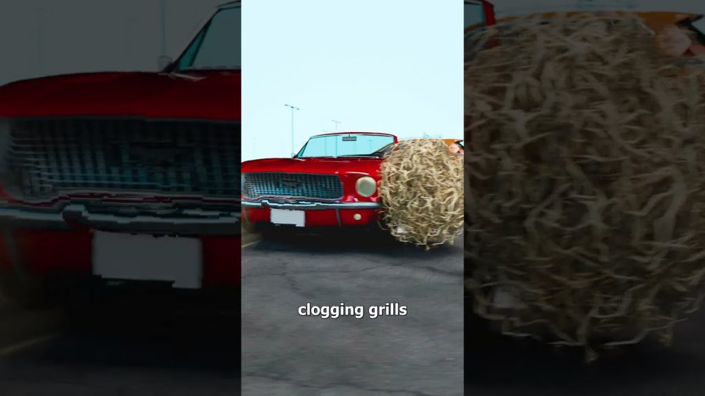 How Tumbleweeds Damage Cars 🤔