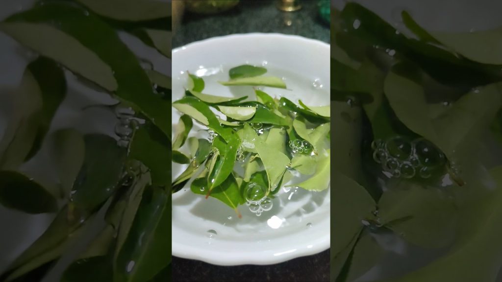 Curry leaves health benefits🌿👌#health #food #recipe #cooking #easyrecipe #shorts #short #kitchen