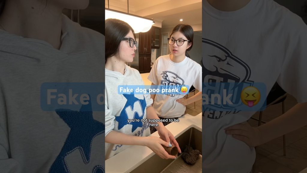 Fake dog poo prank 😝 #funnyvideo #comedy #pranks #lol