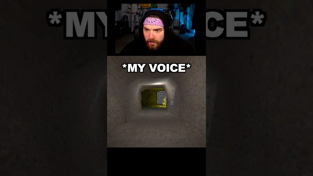 THIS HORROR GAME MIMICS YOUR OWN VOICE