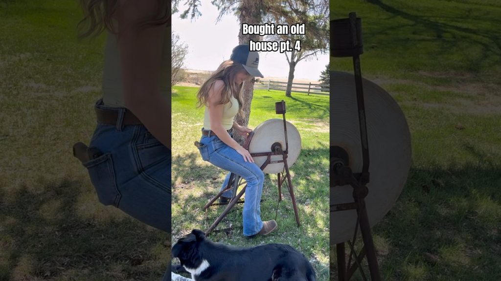 I NEED this to work y’all 😅 #funny #help #farmlife