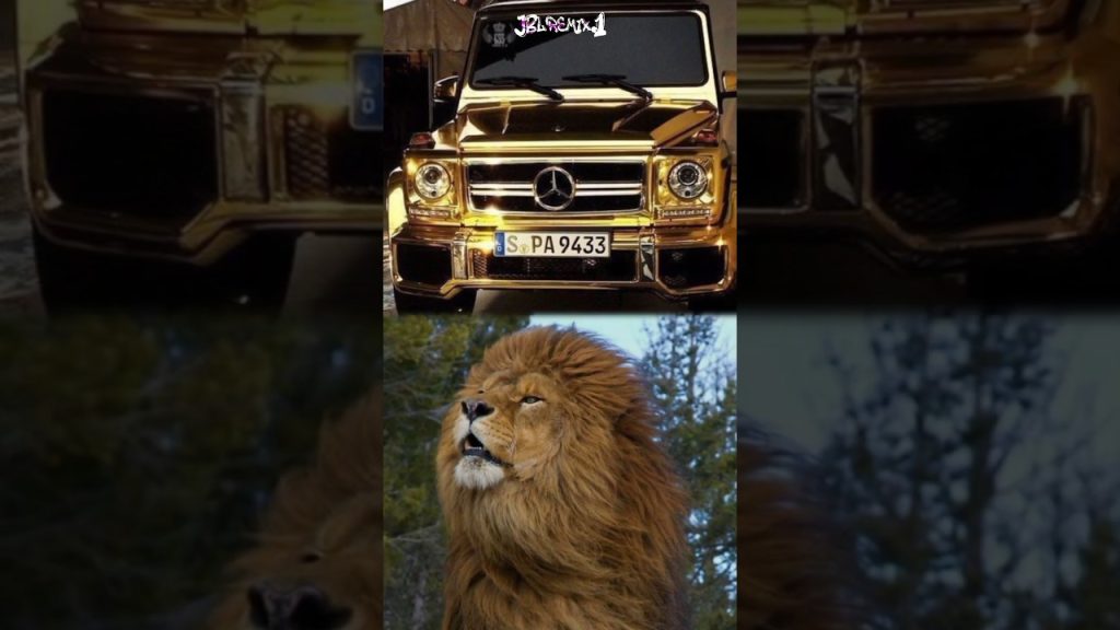 Cars & Animals #car #animals #lamborghini #bmw #mercedes #bugatti #viral #shorts #jblremix.1 #dog