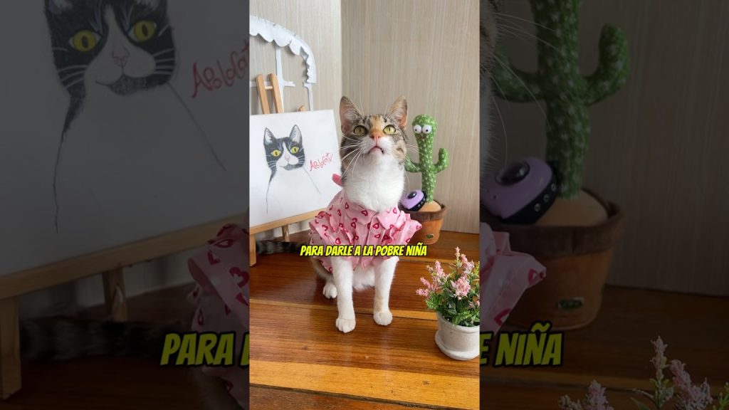 Mi tío tiene un buen corazón 🥺🤣! #gatos #humor