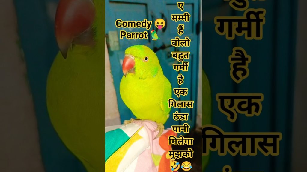 #mummy Ek Gilas Pani De Do🤣😂#funny#parrot#funnyvideo#entertainment#monkey#viral#comedy#youtubeshorts
