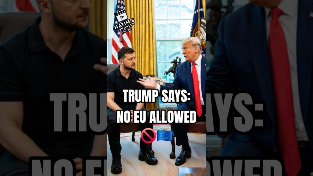 Trump & Zelensky Meeting in Washington – Without EU 😂 #funny