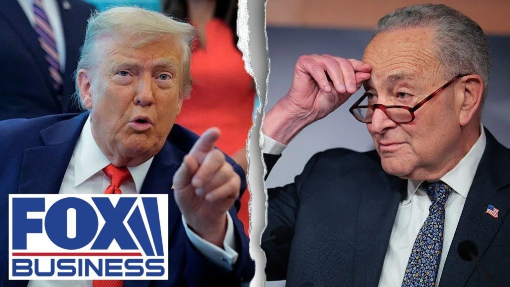 ‘EMBARRASSING’: Schumer’s ‘silly’ offer to avoid government shutdown revealed