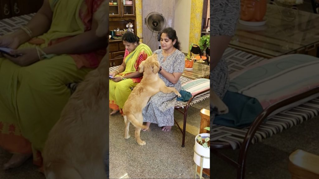 30.10.2025 🌿 Milo & Mithu pannunathu ithu tha#shorts #shortsfeed #home #vlog