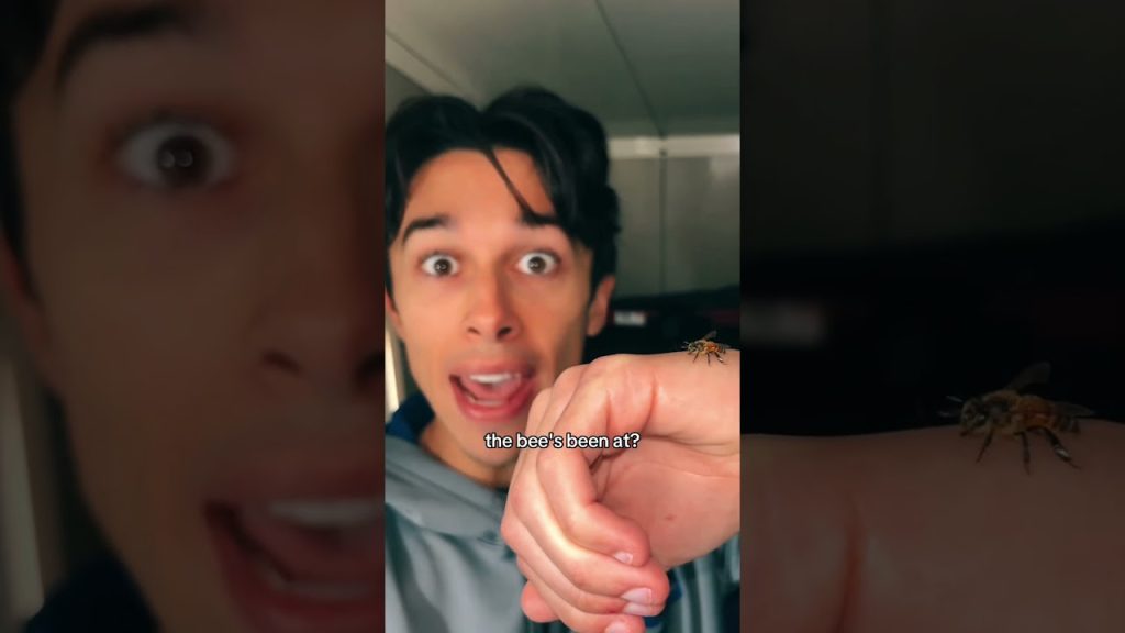 I Found The BEE.. 🐝 #relatablestories #comedy #funnymemes