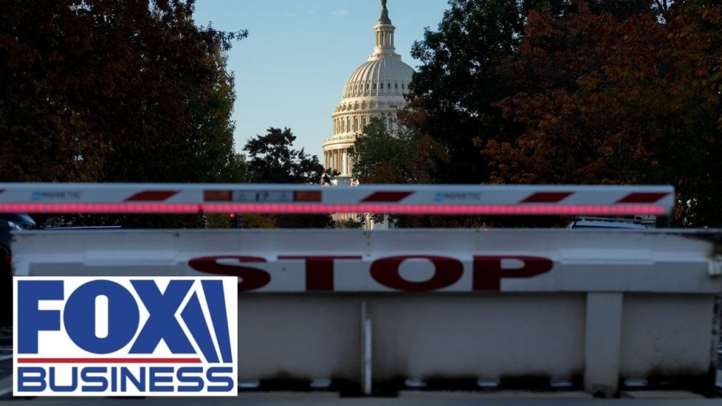 Democrats are ‘doing this as a stunt,’ says New York congresswoman