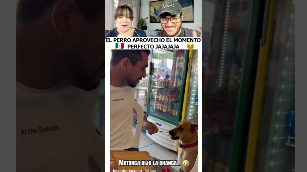 EL PERRO LE ROBO LA COMIDA EN EL MOMENTO PERFECTO… HUMOR MEXICANO #shorts #humor