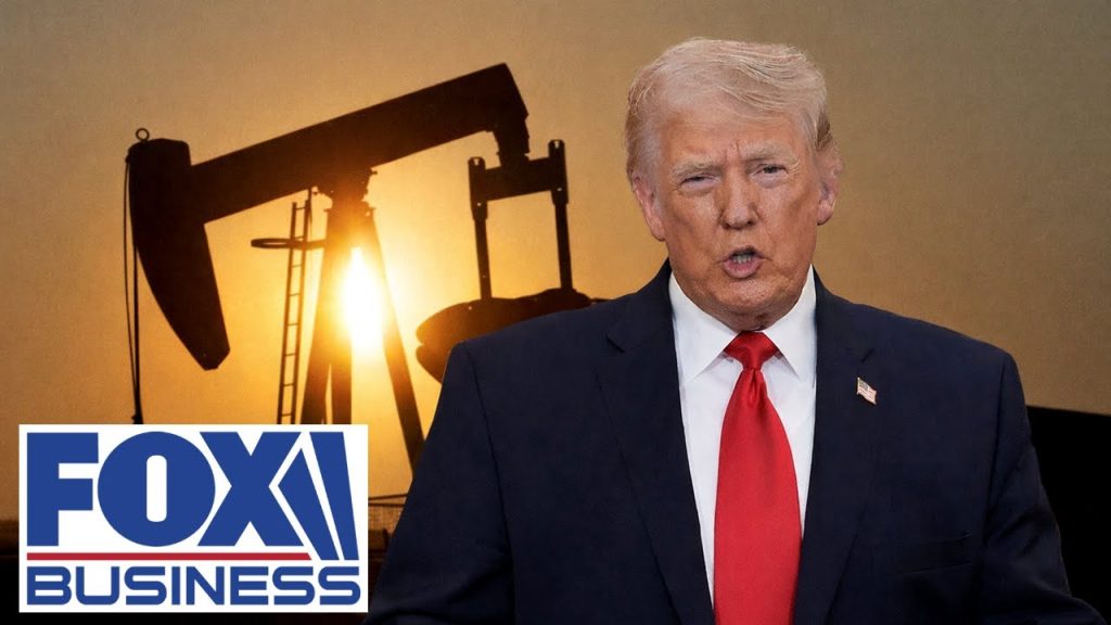 ‘VERY SURPRISED’: Trump makes STUNNING claim about US oil