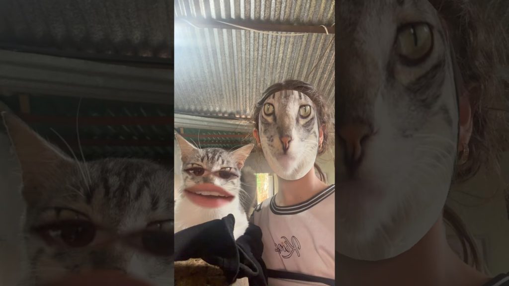 #viral #humor #viralshort #comedia #soyfreddymar