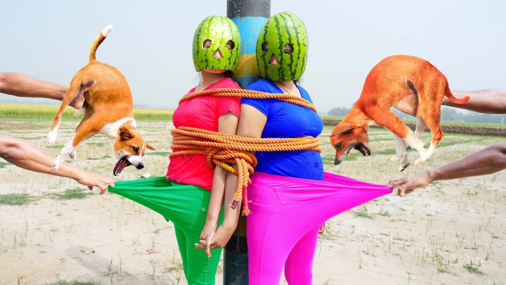 Top Funniest Fun New Comedy Video 😂 Special amazing funny video 2026 Ep 381 By Busy Fun Ltd