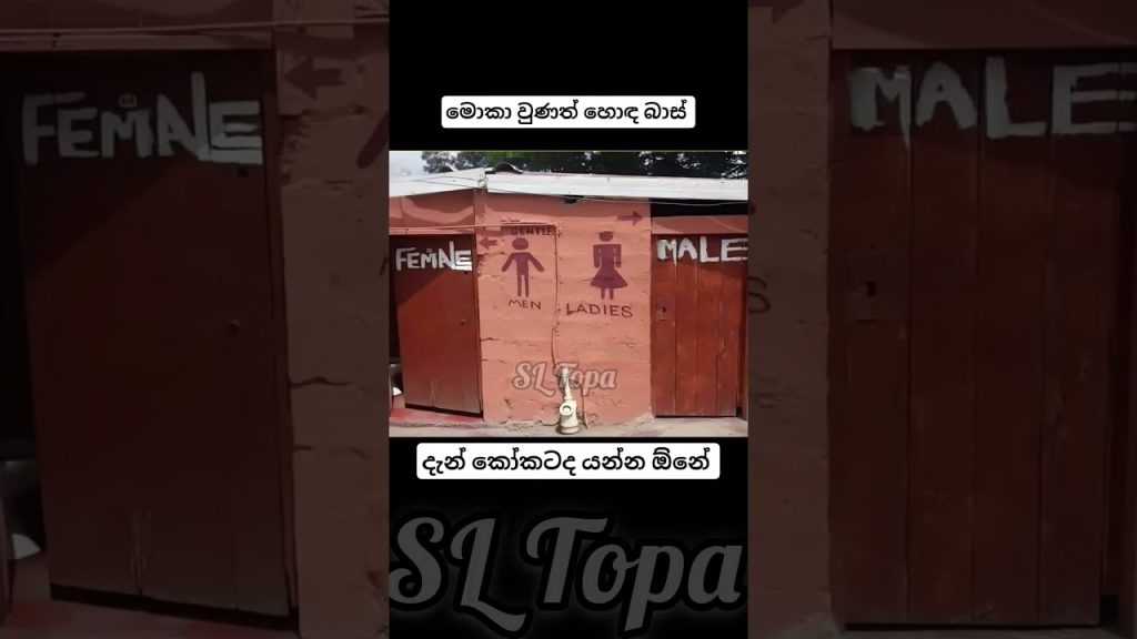 ##sltopa funny #𒆜foryou #trending #memes #memes #comedy #jokes