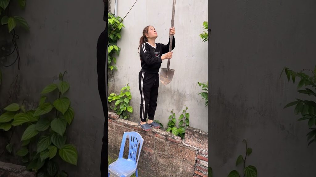 OMG  Help the mother bird return to the nest 🤣  #funny #comedy