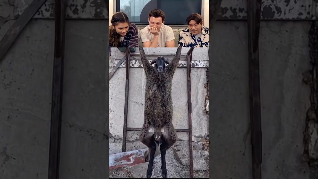 Tom Holland vs. The Internet’s Funniest Videos 🤣 #tomholland #funny #memes #viral #fyp #comedy