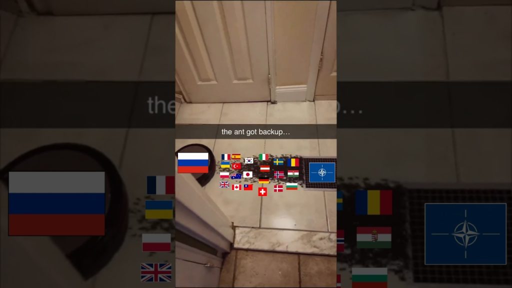 RUSSIA VS UKRAINE #history #funny #jokes #education #comedy #war #humor