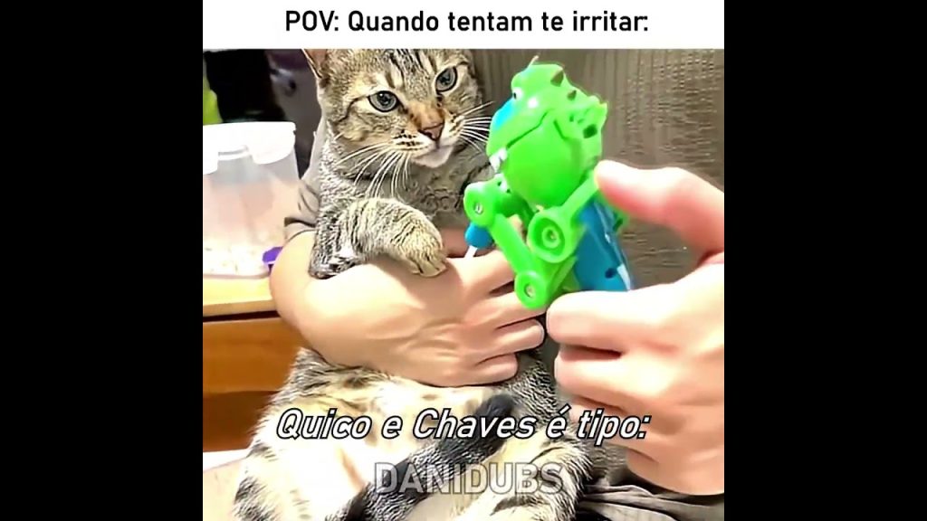 O brinquedo tava brincando com o gato 😅 #edit #humor #memes #fyp #animals