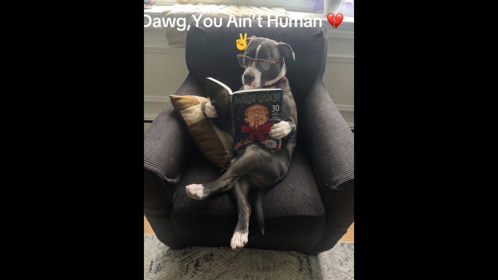 Dawg you ain’t human 💔✌️ #memes #brainrotmemes #humor #funny #funnyimages #slideshow #shorts