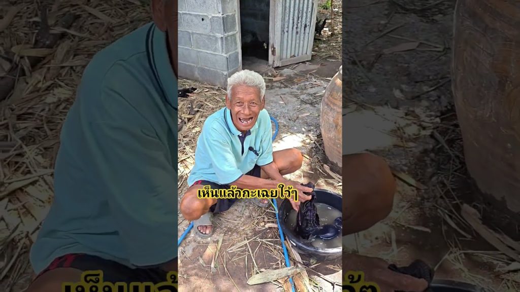 เห็นแล้วกะเฉยใว้ๆ #comedy #funny