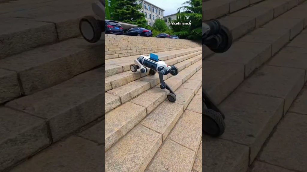 China’s ROBOT DOGS Are Patrolling the World Cup RIGHT NOW #news #technology #china #robot
