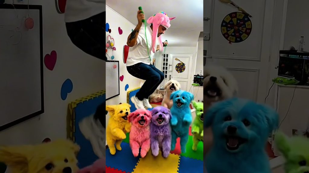 PAPÁ IBÁÑEZ Y SUS MASCOTAS DE COLORES #casosdefamilia #funny #familiaibañez #divertido #humor #come